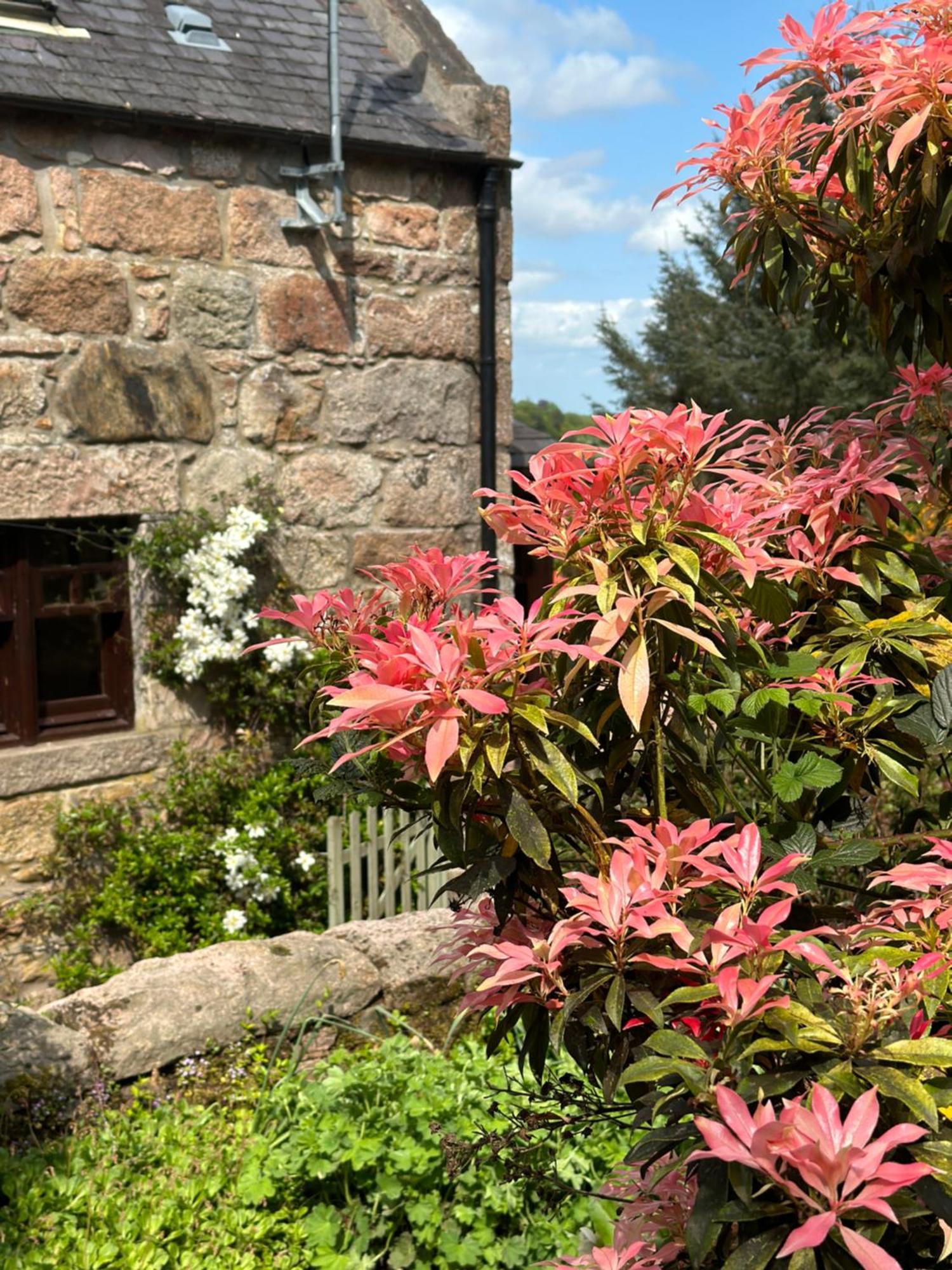 Awakening Alchemy Retreat Centre Bed & Breakfast Inverurie Exterior photo