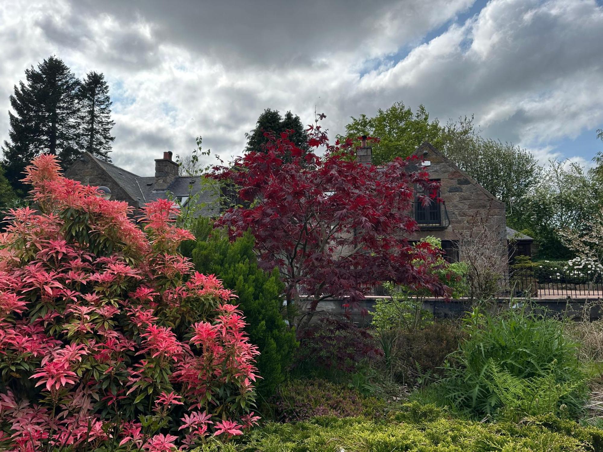 Awakening Alchemy Retreat Centre Bed & Breakfast Inverurie Exterior photo